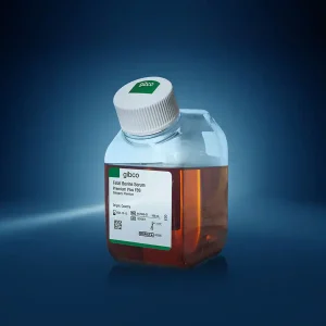 قیمت fbs سرم جنین گاوی