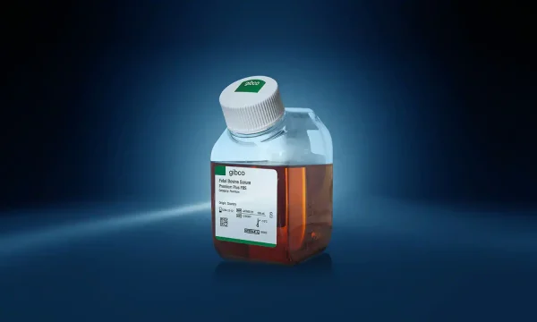 قیمت fbs سرم جنین گاوی