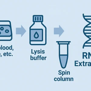 فروش کیت استخراج RNA ستونی