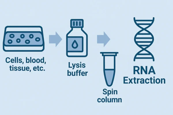 فروش کیت استخراج RNA ستونی