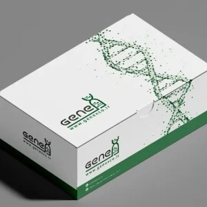 خرید کیت استخراج RNA ستونی