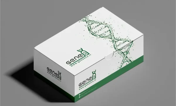 خرید کیت استخراج RNA ستونی