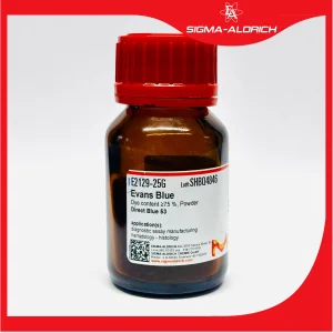 خرید رنگ اوانس بلو