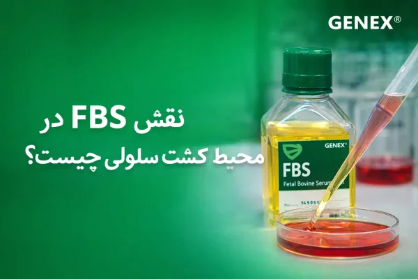 نقش FBS در محیط کشت سلولی چیست؟