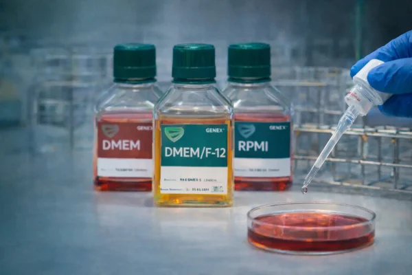 آنتی‌بیوتیک در کشت سلولی