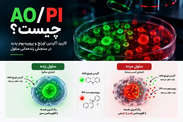 AO/PI در یک نگاه